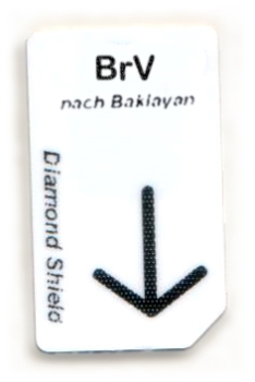 Chipcard BrV für DS