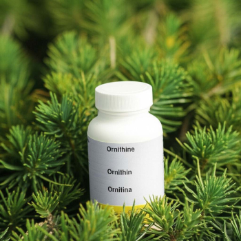 Ornithin 100 Kapseln je 500 mg