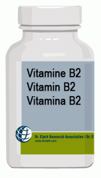 Vitamin B2 Kapseln, 100 Kapseln je 300mg