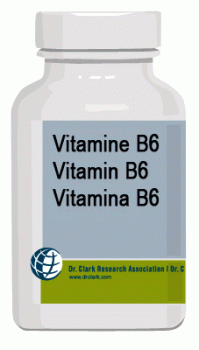 Vitamin B6, 250 Kapseln je 21mg
