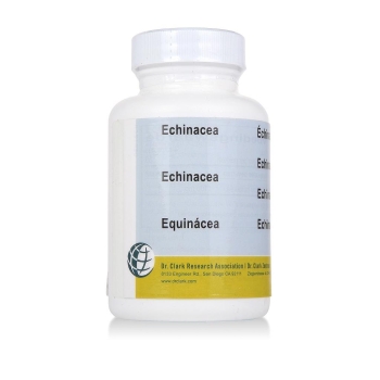 drsync-product-8079-Echinacea__275_mg_120_Kapseln.jpg